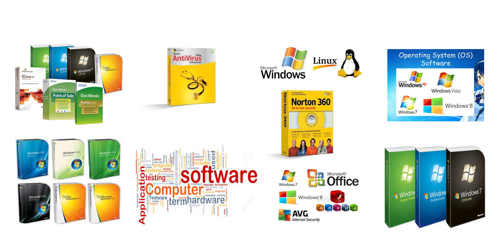 We Provide Computer software